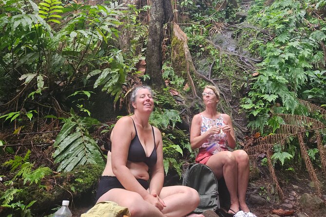 Mindfulness Rainforest Hike, Forest Bathing, Volcanic Hot Springs - What the $175 Price Includes