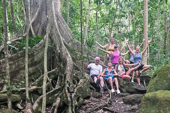 Mindfulness Rainforest Hike, Forest Bathing, Volcanic Hot Springs - Meeting at Oualie Water Taxi Pier