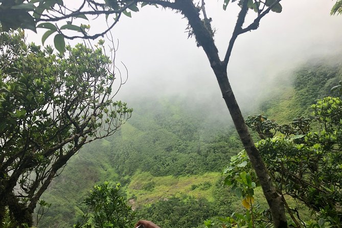 Mount Liamuiga Volcano Tours - Mount Liamuiga’s history adds weight to the hike