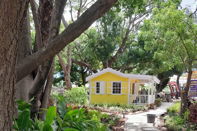 Nevis Hot Springs & Bath Village Heritage Experience - Guides, transport, and the feel of the group