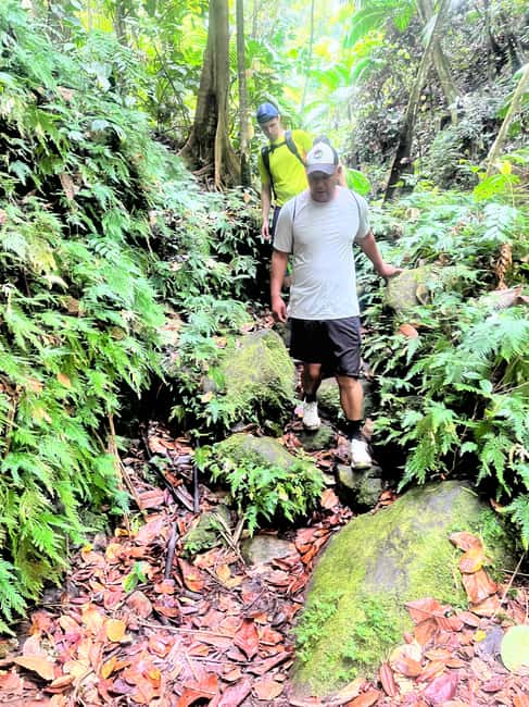 Nevis Waterfalls/Russel's Rest Hike - Seven waterfalls and cool natural pools