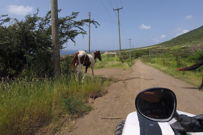 Off roading Morning Excursion - From Frigate Bay to the island interior