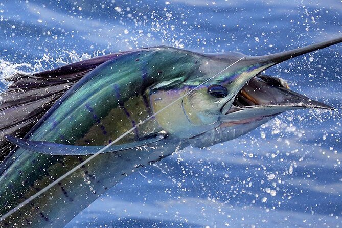 Private Fishing & Snorkel Charters in St Kitts and Nevis - Key points to know before booking