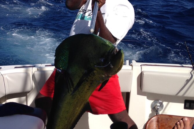 Private Fishing & Snorkel Charters in St Kitts and Nevis - Captain Fitzroy and the value of local judgment