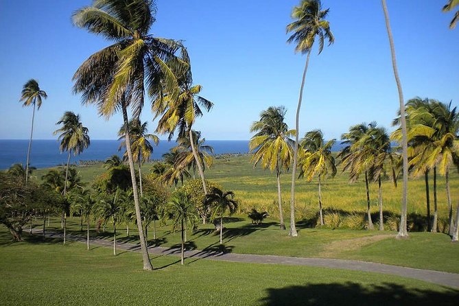 Private Tour in St. Kitts - A private route through St. Kitts in half a day