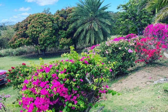 Private Tour in St. Kitts - What the private price really buys you