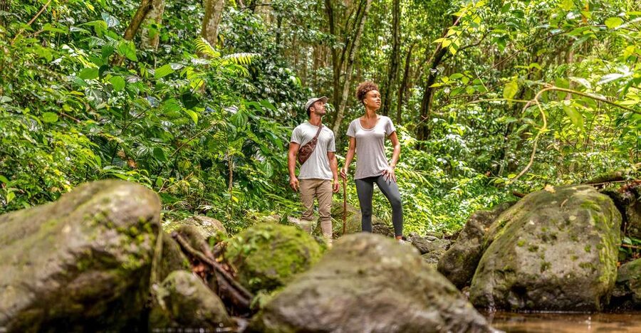 Rainforest Adventure - Key points to know before booking