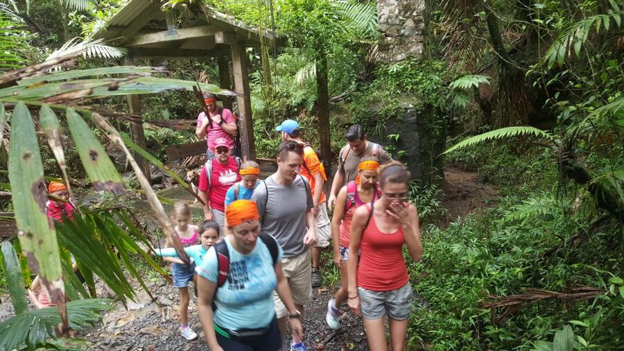 Rainforest Adventure - Why this three-hour outing works