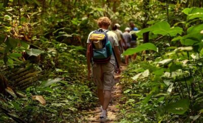 Rainforest Adventure
