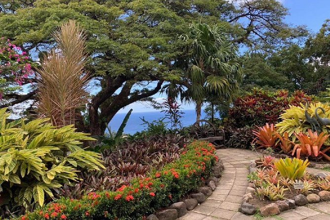 Rosevelt's Special Best of St. Kitts/Panoramic Tour - The real cost: $67 plus entrance fees