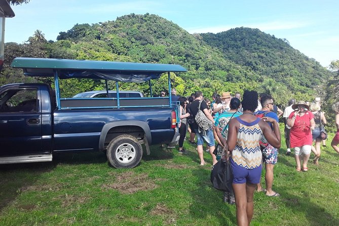 Safari Extravaganza - Key Points to Know Before You Book