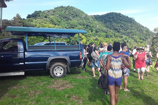 Safari Extravaganza - Who Will Get the Most from This Tour