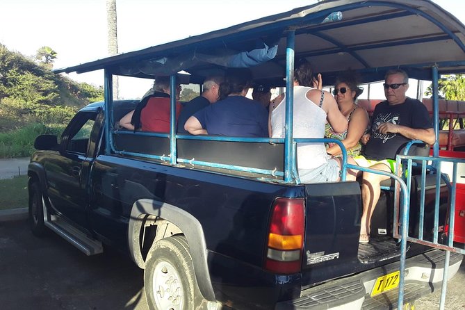 Safari Extravaganza - The 1,000-Foot View Above Basseterre