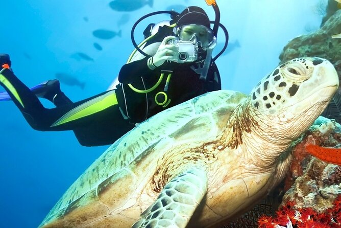 Scenic City Tour and Beach Escape - Water sports, snorkeling, and optional spending