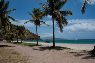 Scenic City Tour and Beach Escape