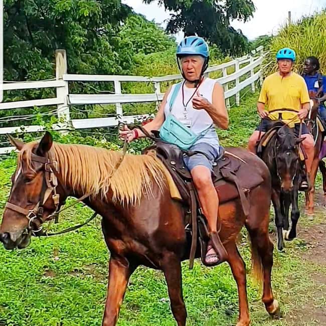Scenic Horseback Trail - The Ride Back Down