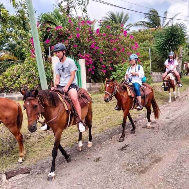 Scenic Horseback Trail - FAQ