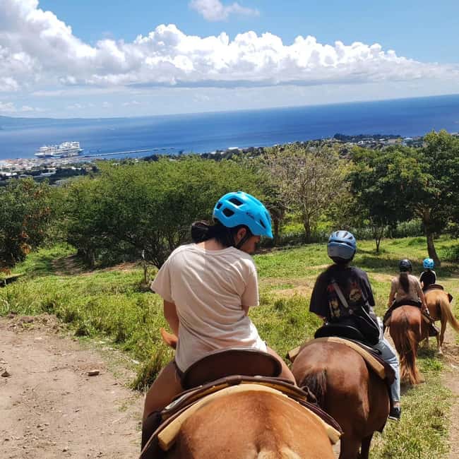 Scenic Horseback Trail - Riding Through Bamboo, Fruit, and Poinciana