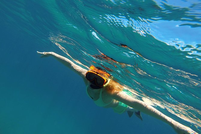 Scenic Speed-Boat Snorkel Tour - What makes Shitten Bay worth your time