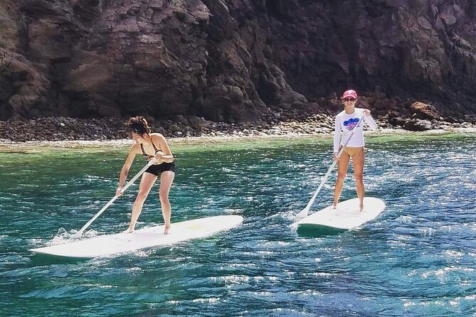 Scenic Stand-up Paddleboarding Adventure Tour - Looking for turtles, stingrays, and clear water