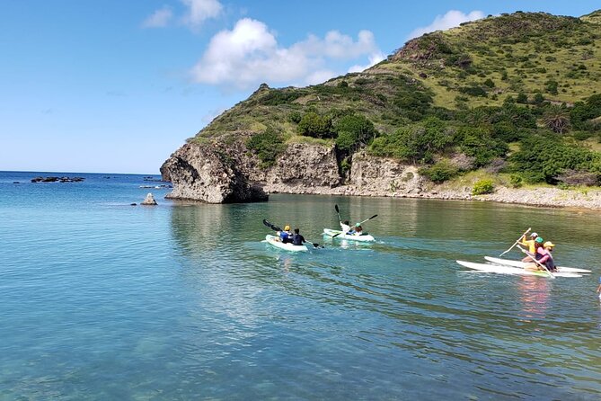 Scenic Stand-up Paddleboarding Adventure Tour - How much paddleboarding skill do you need?