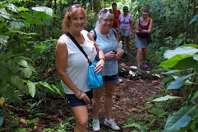 St Kitts Half-Day Rainforest Tour - From Old Road to St Kitts’ forest interior