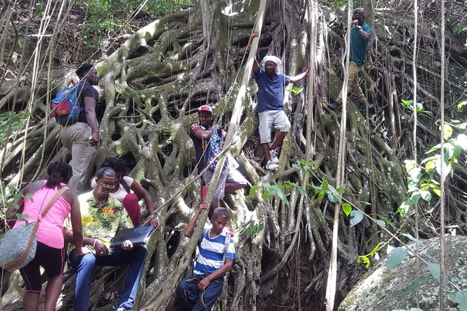 St Kitts Half-Day Rainforest Tour - What to bring for a comfortable walk
