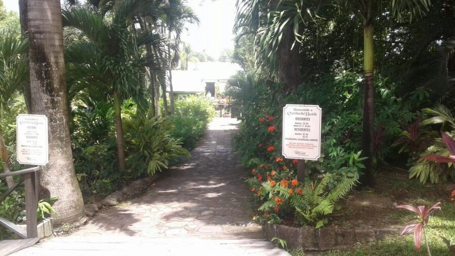 St. Kitts Island Half-Day Bus Tour - Brimstone Hill Fortress and the story written in stone