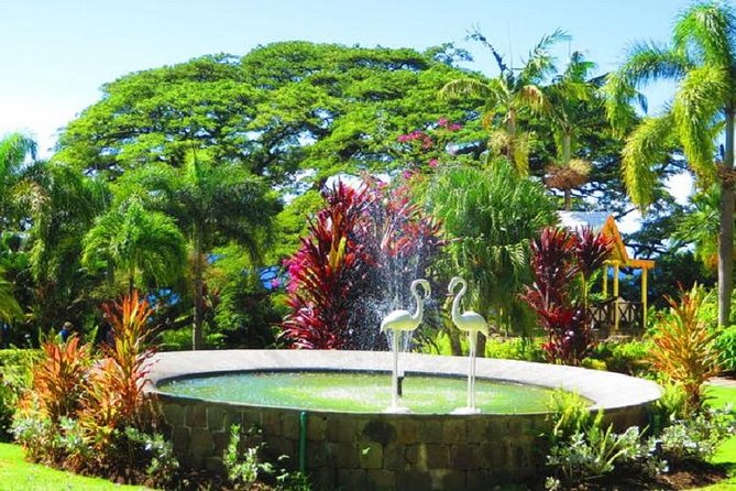 St Kitts Island Tour (Reconfirm Ship or Hotel) - Basseterre and the old slave market