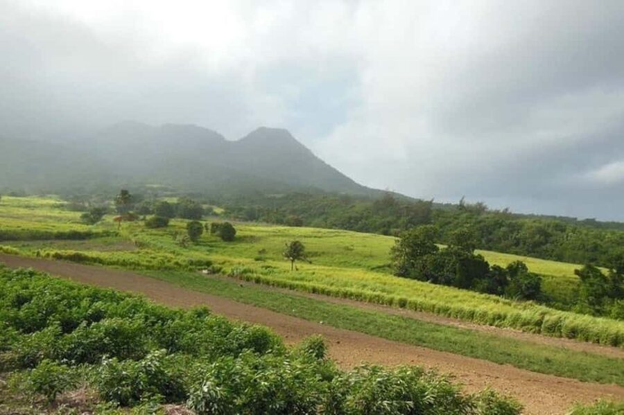 St Kitts: Jungle Bikes Off-Road ATV Tour - Key points to know before you book
