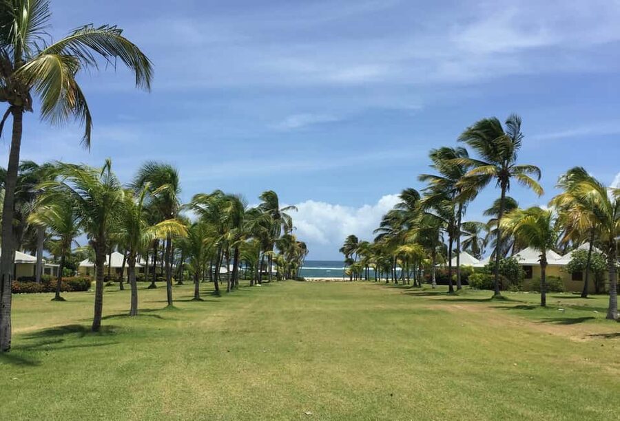 St. Kitts: Nevis Island Tour and Beach Time with Lunch - Why Nevis makes a good second island
