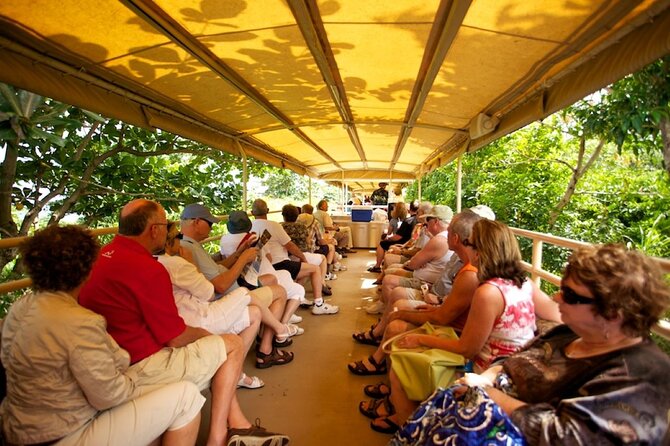 St. Kitts Scenic Train Experience - The bus ride sets the island scene
