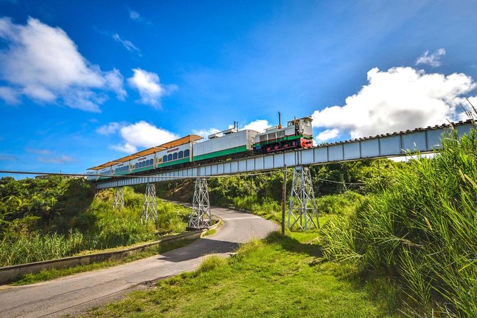 St Kitts Scenic Train Tour (Hotel or Ship) - Riding the last railway of the West Indies