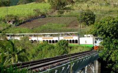 Sugar Train with Pick Up & Drop-Off & Drinks