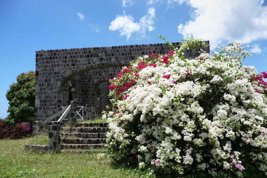 St. Kitts: Top Sights Guided Van or Open-Air Safari Tour - A compact island introduction from Basseterre