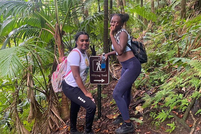St.Kitts Volcano Hike To Mt. Liamuiga (Highest Peak On Island) - Is $69 a Good Price?