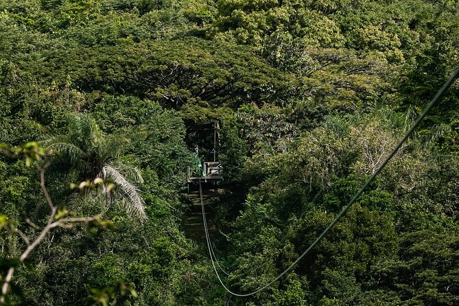 St. Kitts Zipline Experience - Signing In, Weighing In, and Meeting the Guides