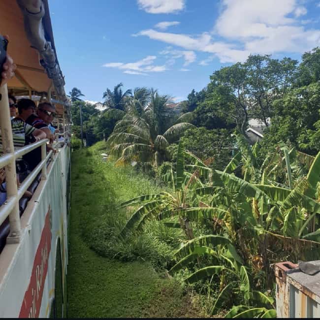 Sugar Train Tour & Drinks|Pick-Up &Drop Off From Cruise Port - What the Sugar Train experience is really like