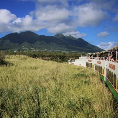 Sugar Train Tour & Drinks|Pick-Up &Drop Off From Cruise Port
