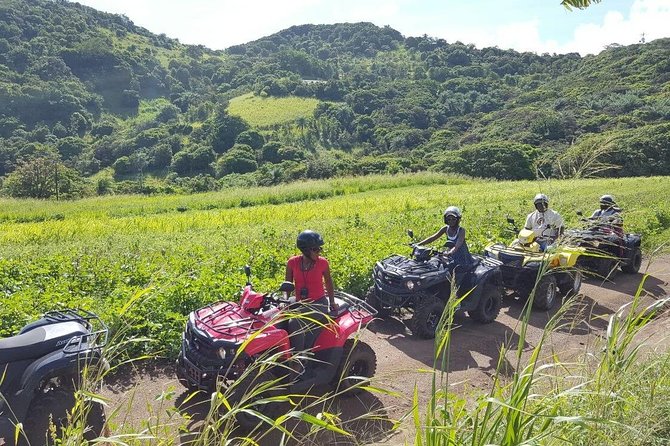 Sunny Blue Rentals in St Kitts for ATV and Dune Buggy Combo Tours - What the views are worth