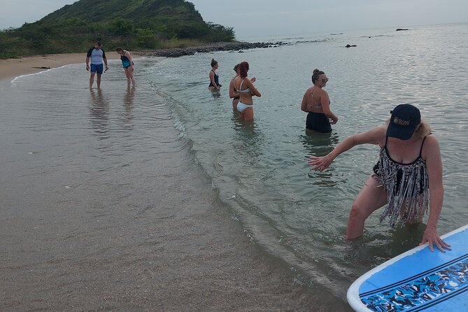 SUP Paddle Board Adventure - Snorkeling brings the best wildlife chances