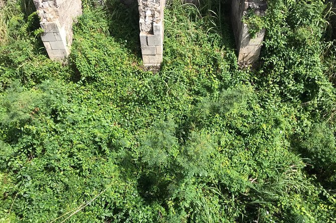 The Brimstone Hill Fortress Hike - The short, steep climb to the fortress