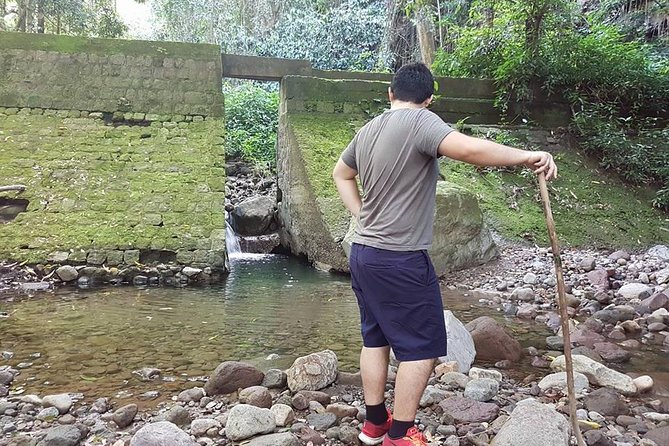 Tropical Rain Forest Explorer Hike In St. Kitts - Rashidi’s Guiding Style