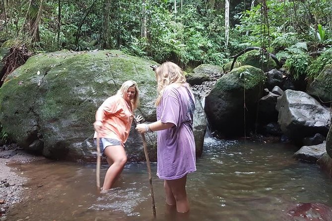 Tropical Rain Forest Explorer Hike In St. Kitts - The Wing Field River and Volcanic Rocks