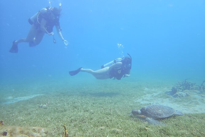 VIP Private Guided Scuba Diving/Snorkeling Excursion - Snorkeling for a Simple View Below the Surface
