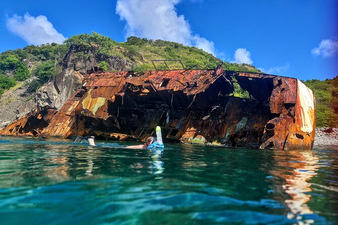 VIP Private Guided Scuba Diving/Snorkeling Excursion - Pickup From St Kitts, Nevis, or a Yacht