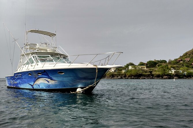 VIP Private Guided Scuba Diving/Snorkeling Excursion - What the $600 Price Really Buys