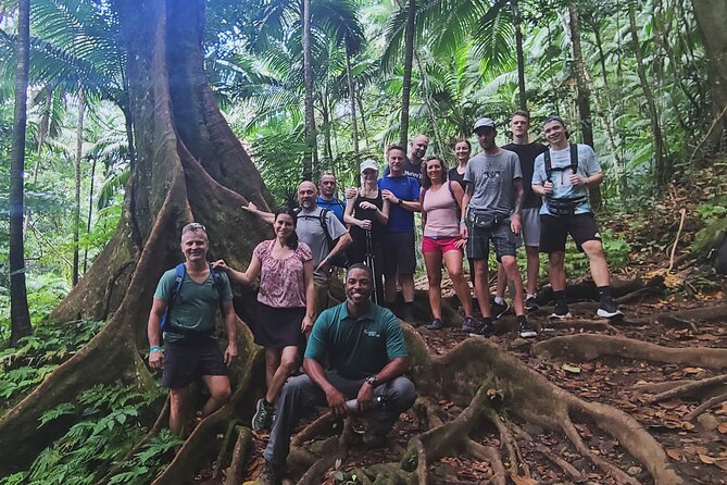 Volcano Caldera (Mt. Liamuiga) Trek / Hike - Is $90 a fair price?