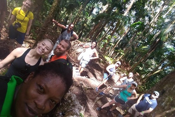 Volcano Caldera (Mt. Liamuiga) Trek / Hike - Timing, meeting point, and practical planning