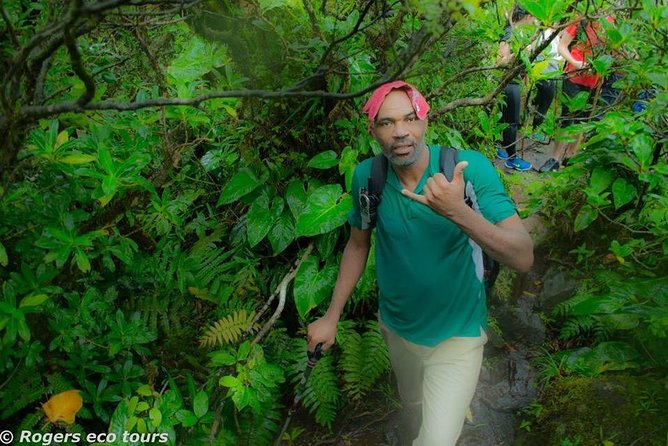 Volcano Caldera (Mt. Liamuiga) Trek / Hike - Who will enjoy this St. Kitts excursion?
